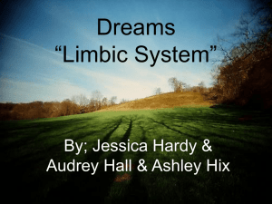 Dreams “Limbic System”