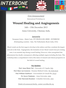 Wound Healing and Angiogenesis - AU