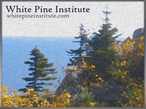 What is ACT? - White Pine Institute