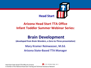 Brain Development - Arizona Head Start Association