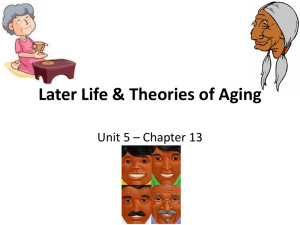 Adult Life & Theories of Aging