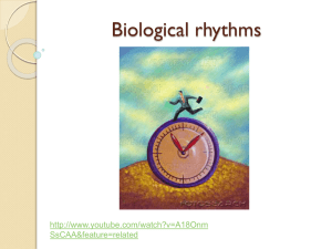 biological rhythms (LRA) 2012