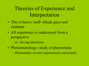 Theories of Experience and Interpretation
