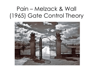 Pain – Melzack & Wall (1965) Gate Control Theory