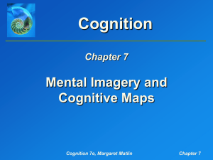 Matlin, Cognition, 7e, Chapter 7: Mental Imagery and Cognitive Maps