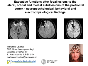 Executive functions after focal lesions to the lateral, orbital and