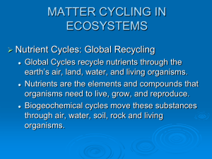 Ch. 3: Biogeochemical Cycles