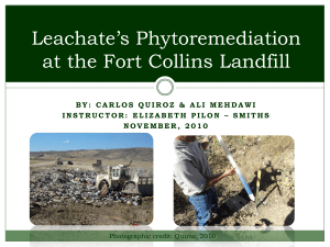 Leachate`s Phytoremediation on Ft Collins` Landfill