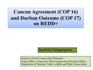 Decision on REDD+ Safeguard - The Forest Carbon Partnership