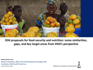 SDG proposals for food security and nutrition: some