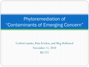 Phytoremediation of Pharmaceuticals, Hormones, and other Organic