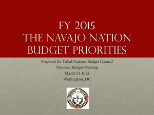 FY 2015 the navajo nation budget priorities