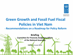 Green Growth and Fossil Fuel Fiscal Policies in Viet Nam