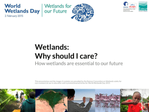 pptx file - World Wetlands Day