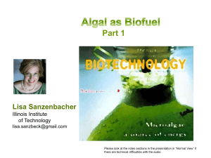 Food for Thought: Algae as Fuel