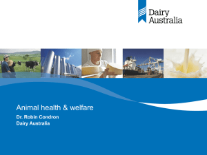 Animal welfare - Dairy Australia