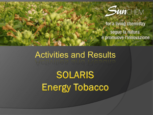 Sunchem Presentation – Activities and Results