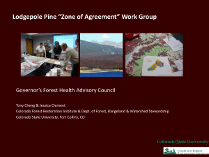 Lodgepole Pine Zone of Agreement Working Group