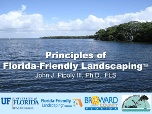 Florida-Friendly Landscaping Principles