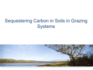 Sequestering Carbon in Soils in Grazing Systems