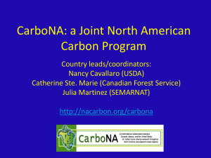 Presentation - North American Carbon Program