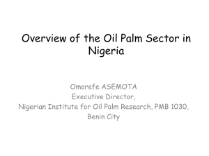 Overview of the Oil Palm Sector