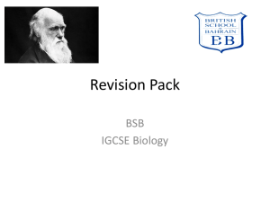 Section C revision booklet