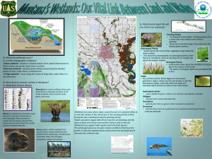 Wetlands Project Part 3