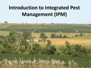 Integrated Pest Management in the 21st Century