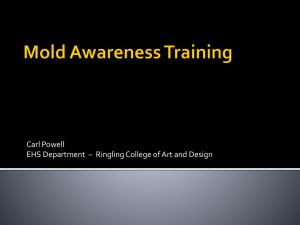 Mold Awareness - Ringling College of Art and Design