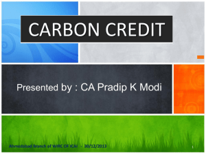 carbon-credit-1-30.12.2013