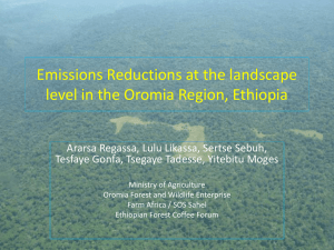 Oromia Regional State Forest Emissions Reduction Program, Ethiopia