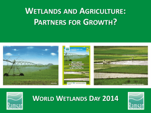 Wetlands and biofuels 2