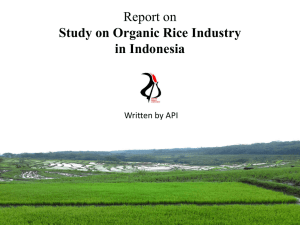 Organic Rice Industry in Indonesia - Asian Farmers Association for