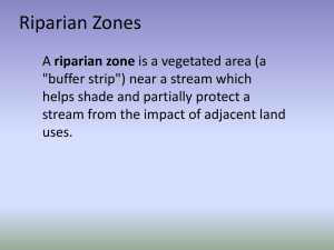 Riparian Zones (PowerPoint)