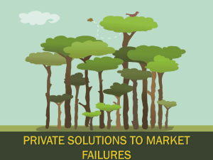 11-Private Solutions To Market Failures