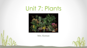 Unit 7 - Plants