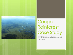Congo Rainforest Case Study