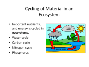 Cycling of Material in an Ecosystem