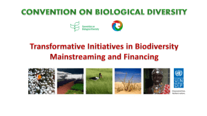 Mainstreaming biodiversity into public policy design