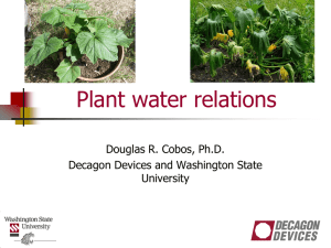 Plant Water Relations 7-2014