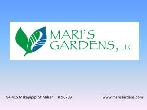 Mari`s Gardens, LLC--Aquaponics Production