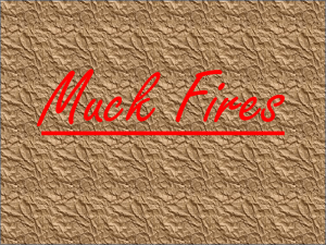 Muck Fires - AlphaLiterature