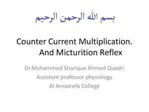counter current multiplication and micturation