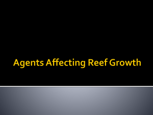 Agents affecting Reefs Growth