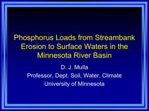 Phosphorus Loads to Surface Waters in the Minnesota River Basin