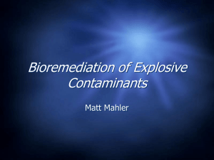 Bioremediation of Various Explosive Contaminants