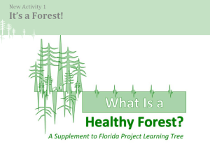 What Is a Forest? - School of Forest Resources & Conservation