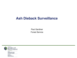 Ash Dieback Disease Presentation (Microsoft PowerPoint, 4488 Kb)