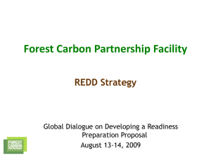 REDD Strategy - The Forest Carbon Partnership Facility